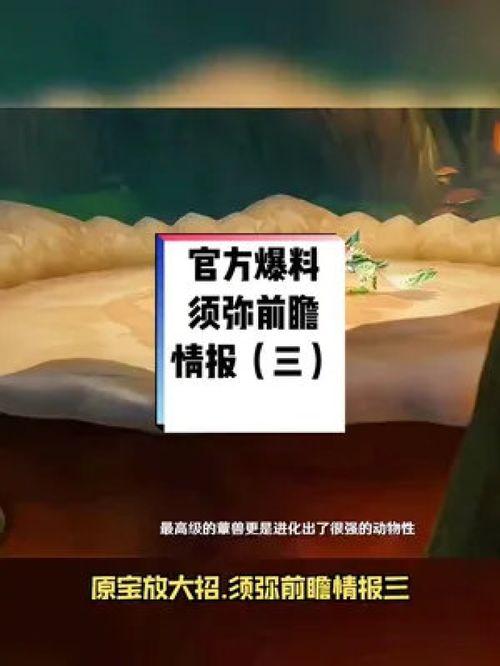 须弥前瞻爆料视频,探寻神秘大陆的奇幻之旅