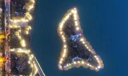 合肥天鹅湖最新爆料新闻,揭秘最新爆料背后的真相