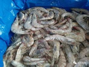 盐冻大虾爆料视频教程,轻松掌握美味海鲜烹饪技巧